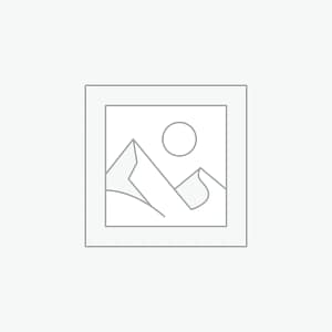 woocommerce-placeholder boAt Rockerz 450, 15 HRS Battery, 40mm Drivers, Padded Ear Cushions, Integrated Controls, Dual Modes, On Ear Bluetooth Headphones, Wireless Headphone with Mic (Luscious Black)